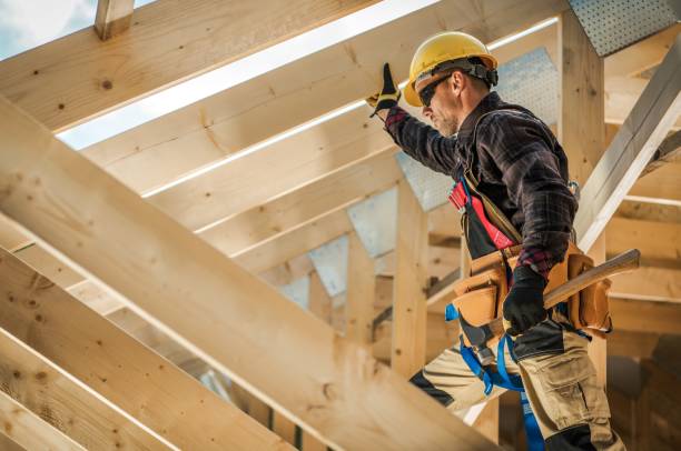 Best Roof Waterproofing Services  in La Grulla, TX
