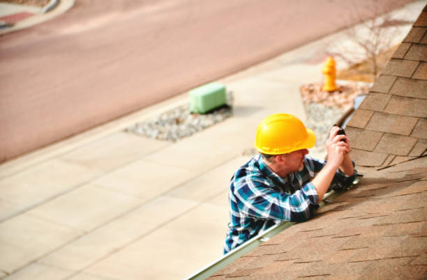 Best Roof Repair Services  in La Grulla, TX