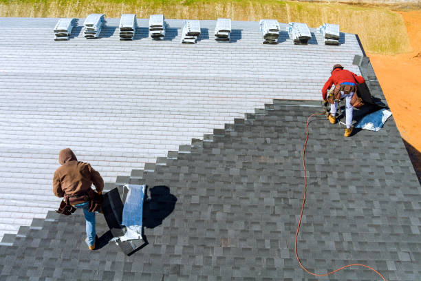 Best Commercial Roofing Services  in La Grulla, TX