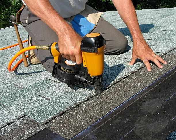 Best Shingle Roofing Installation  in La Grulla, TX