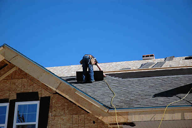 Best New Roof Installation  in La Grulla, TX