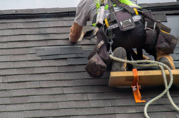 Roof Gutter Cleaning in La Grulla, TX