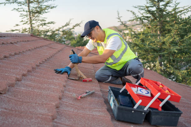 Best Roof Maintenance Services  in La Grulla, TX