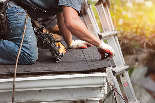 Best Roofing Contractor Near Me  in La Grulla, TX
