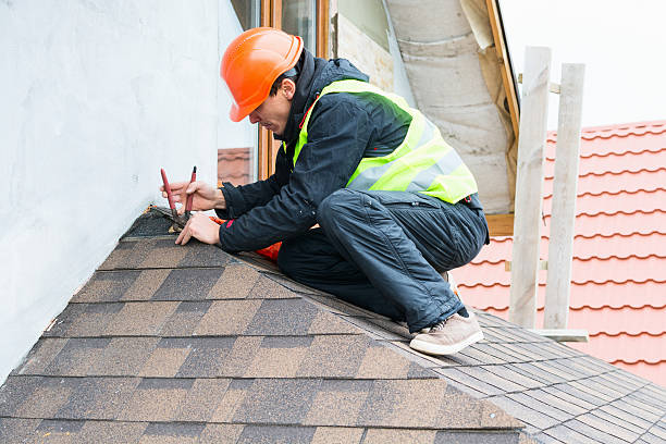 Best New Roof Installation  in La Grulla, TX