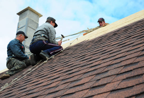 Best Slate Roofing Contractor  in La Grulla, TX