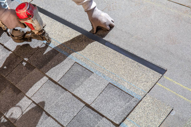Best Commercial Roofing Services  in La Grulla, TX