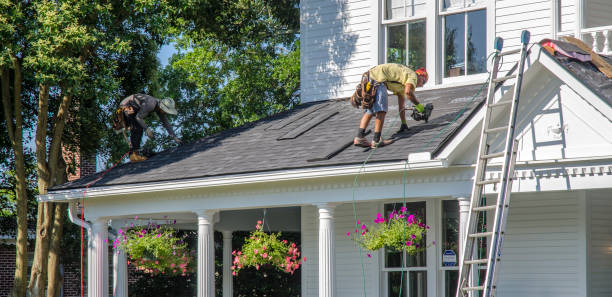 Professional Roofing Contractor in La Grulla, TX