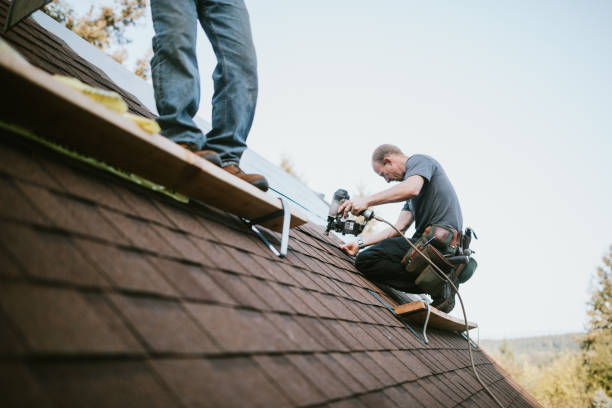 Best Best Roofing Contractors  in La Grulla, TX