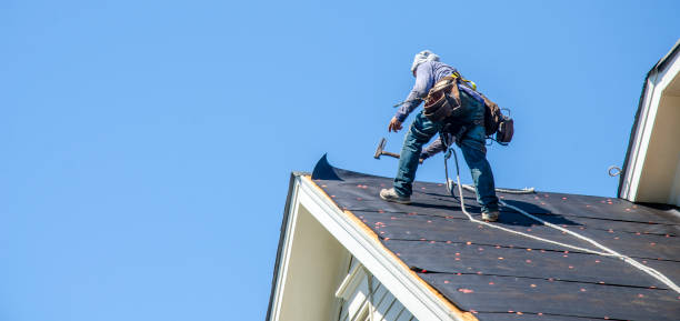 Best Flat Roof Repair Services  in La Grulla, TX